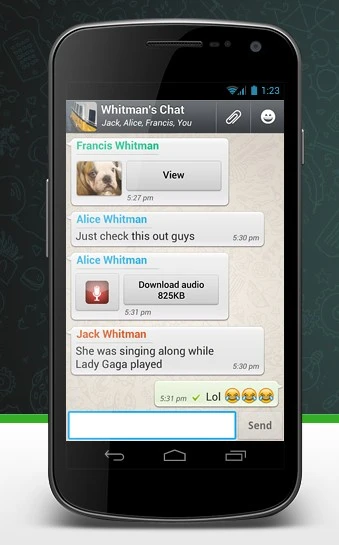 whatsapp screen