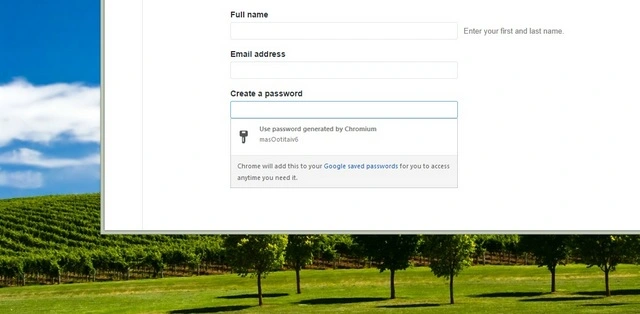 Google Chrome password generator