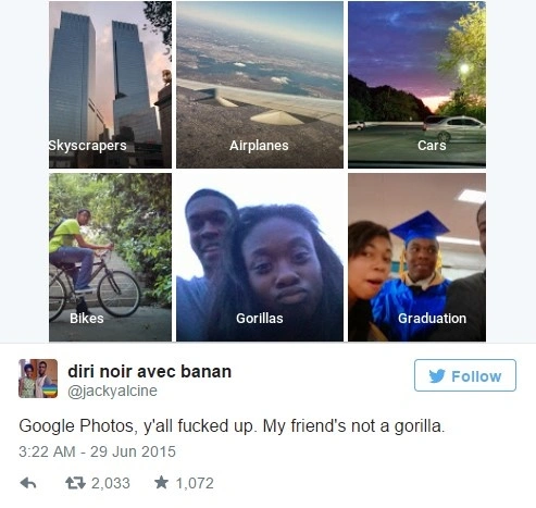 google photos gorilla