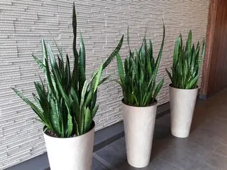 Galaxy A5 2016 sample mini 15