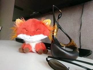 IMG 20160817 091339593 mini