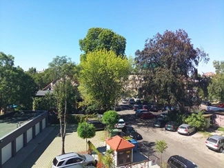 IMG 20160825 143554 mini