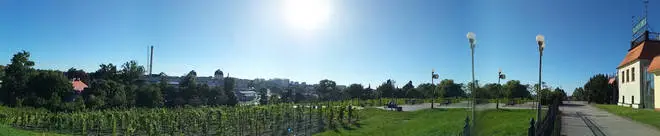 IMG 20160825 171750 mini