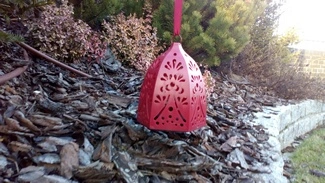 IMG 20161127 144429 mini