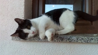 IMG 20161127 145058 mini