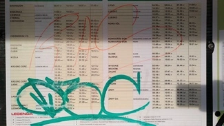 P 20161216 134342 vHDR Auto mini