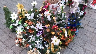 P 20161221 120541 vHDR Auto mini