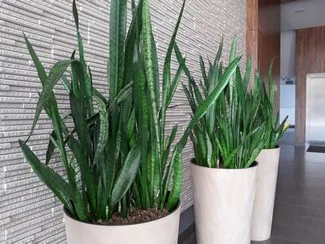 20170807 112016 mini