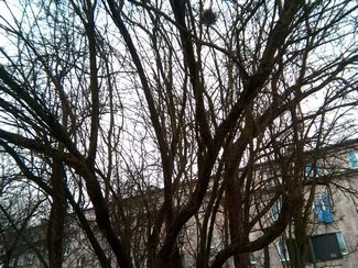 IMG 20180114 002814 mini