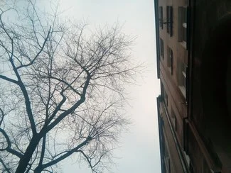 IMG 20180122 090351 mini