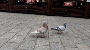 20150505 131628 mini