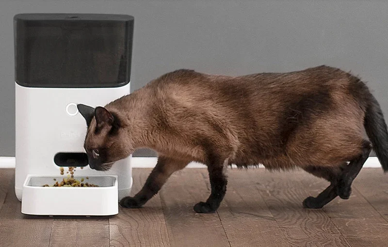 Technologia zawiodła. Zwierzęta głodowały po awarii inteligentnych podajników karmy