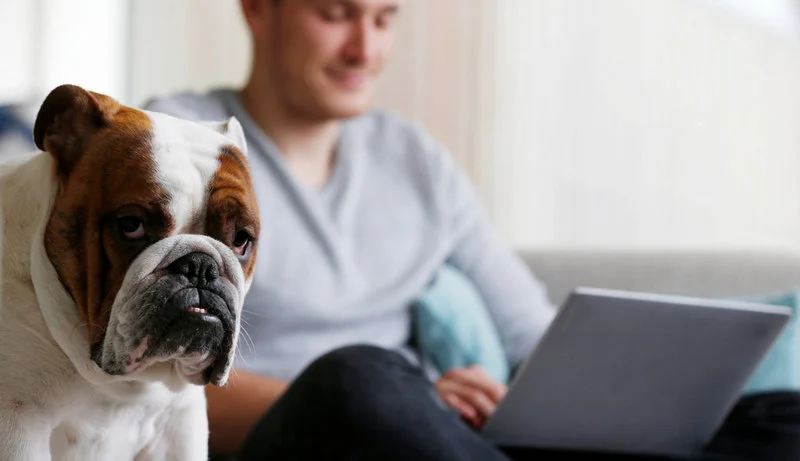 Naga prawda. Połowa pracowników ogląda treści dla dorosłych na urządzeniach do pracy zdalnej