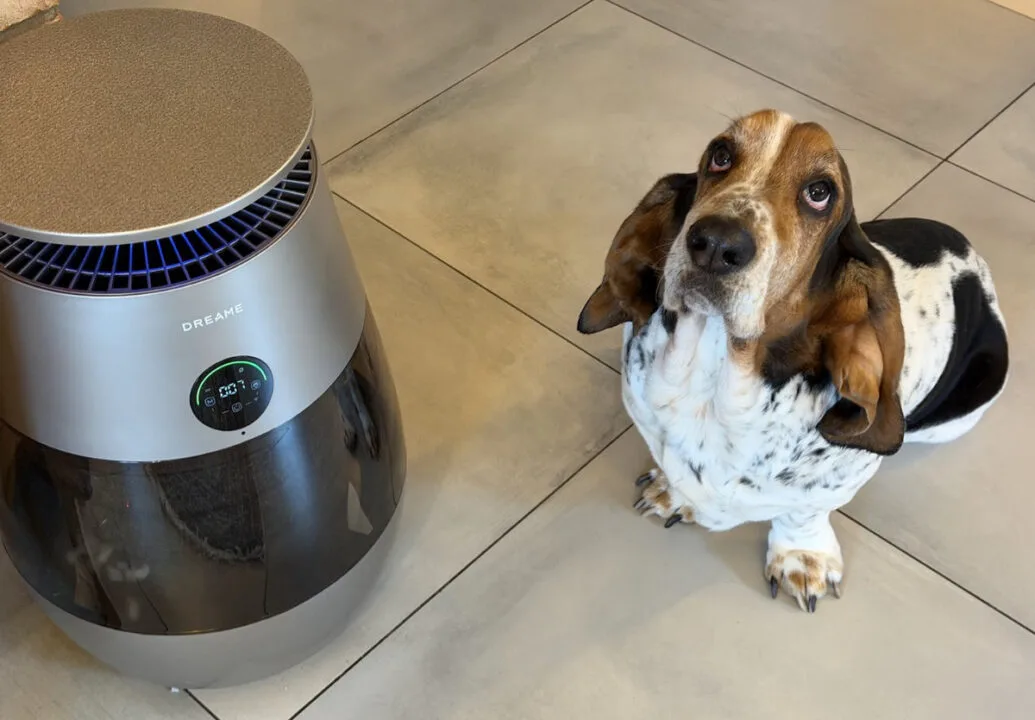 Dreame AP10 i nie-kot