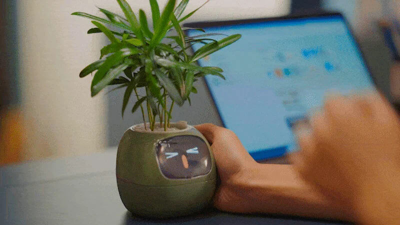 Ivy. Smart doniczka przekształci twoje kwiatki w pupili niczym tamagotchi