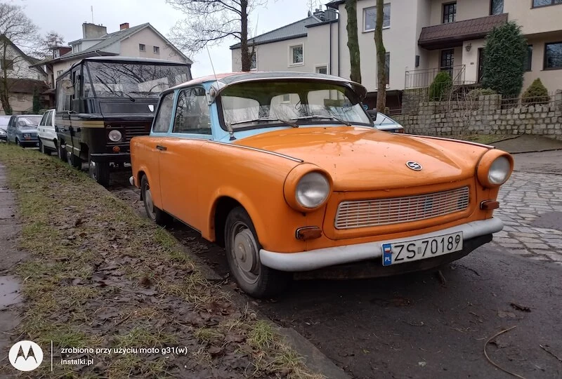 Test Motorola moto g31