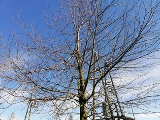 IMG 20180311 121103 mini