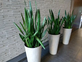 IMG 20180522 162256 mini