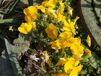 IMG 20180522 164015 mini