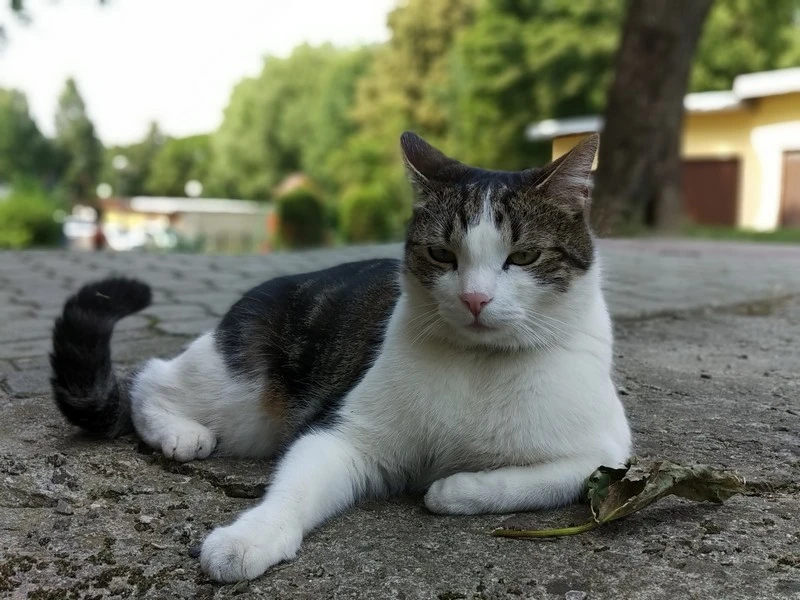 IMG 20180706 150459 mini