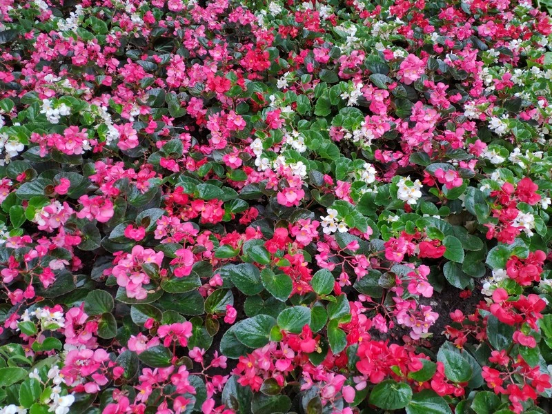 IMG 20180712 173739 mini