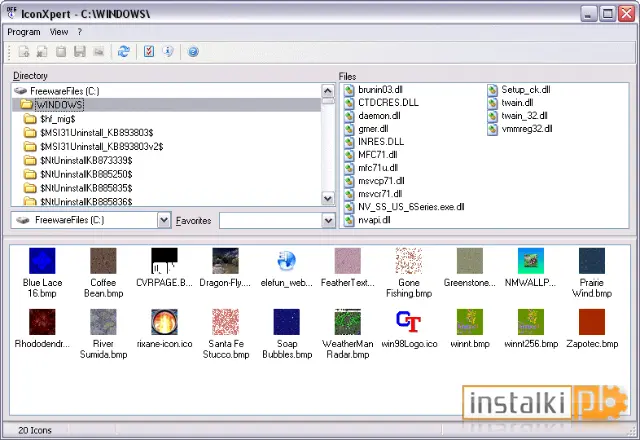 Okladka IconXpert