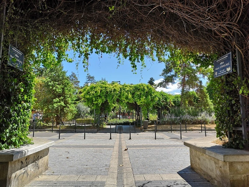 Vegetation HuaweiP20Pro DxOMark 05-00