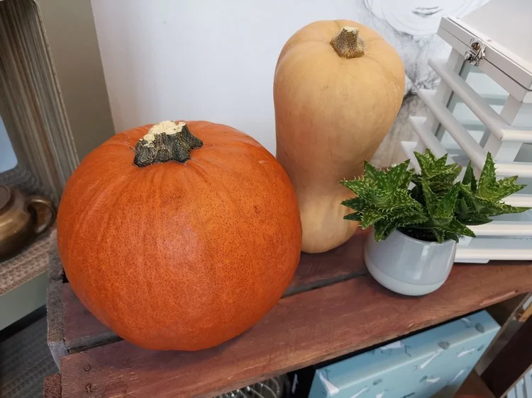 IMG 20181025 125412 mini