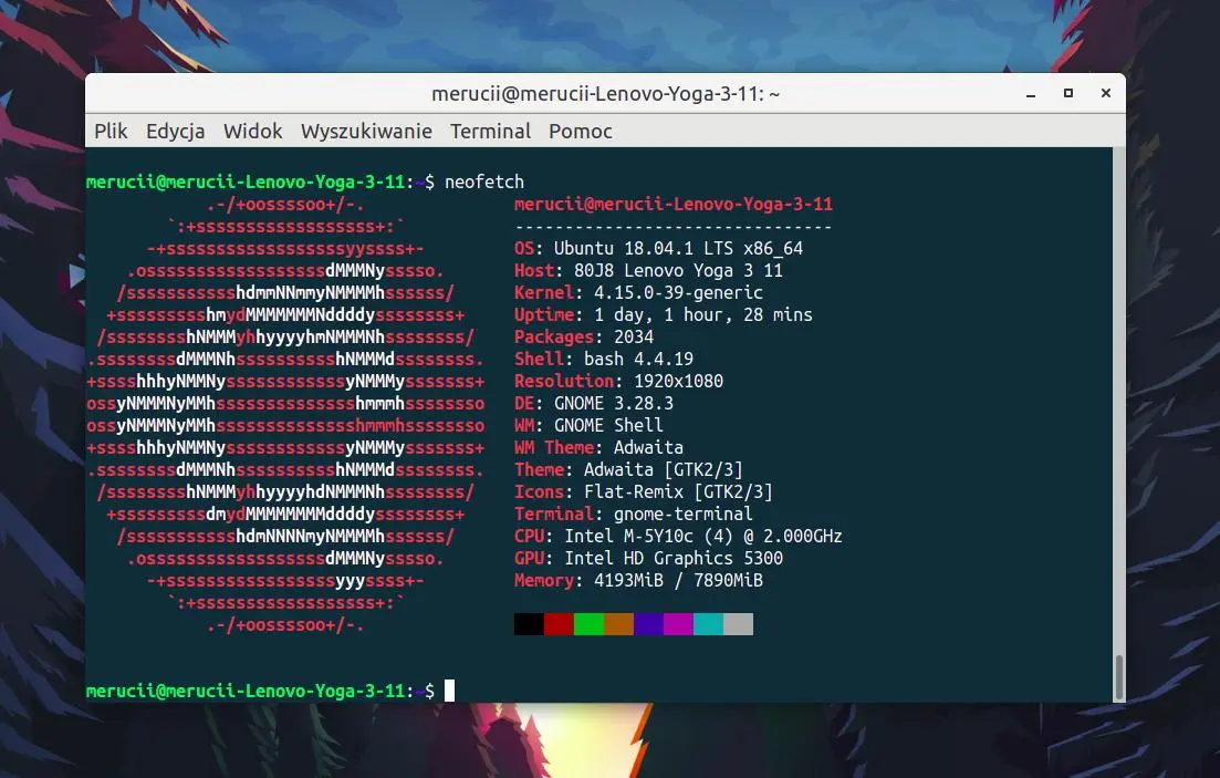 Ubuntu Terminal