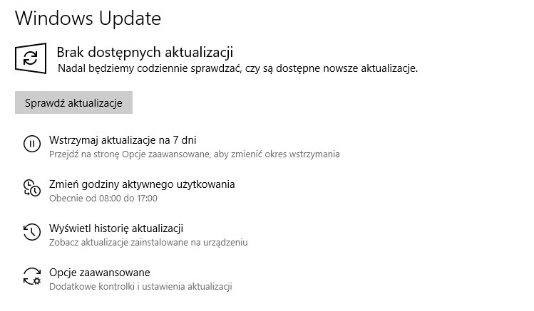wstrzymywanie aktualizacji 19H1