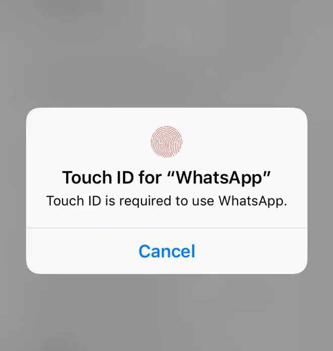 whatsapp id