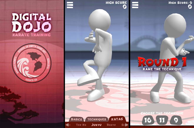 Digital Dojo Karate Training