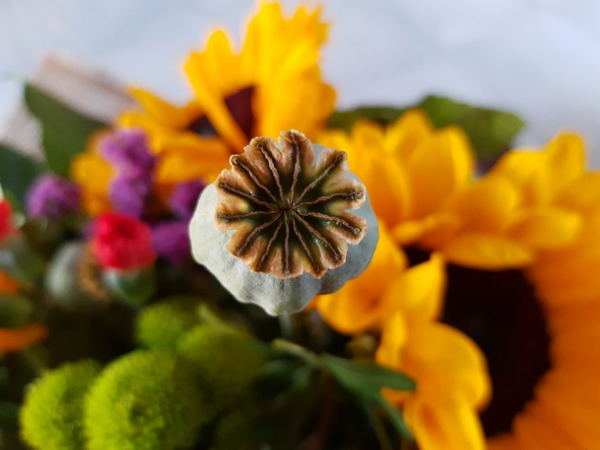 IMG 20190711 191326430 mini