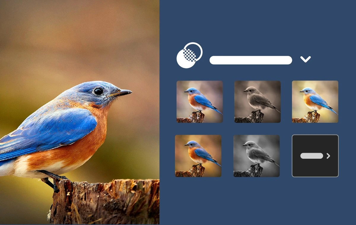 dopasowania-predefiniowane