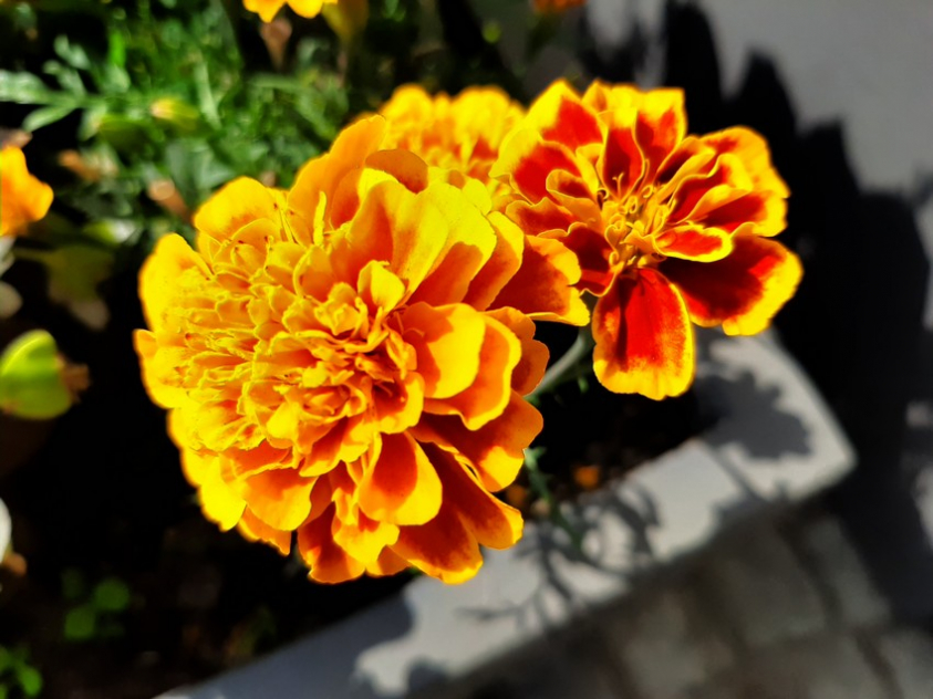 20190816 113426 mini