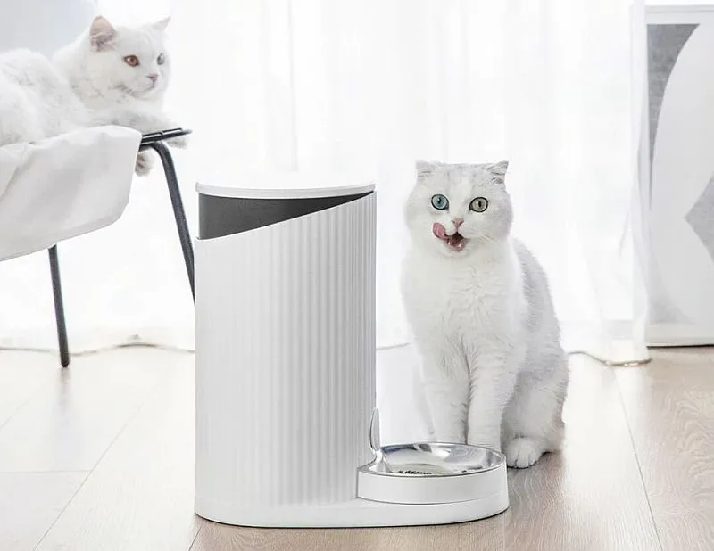 Xiaomi Furrytail hack