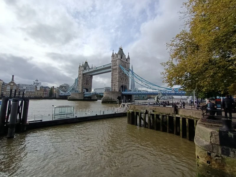 IMG20191016132212 mini