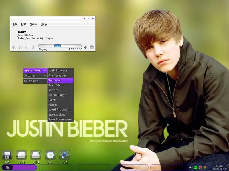 Biebian Justin Bieber Linux