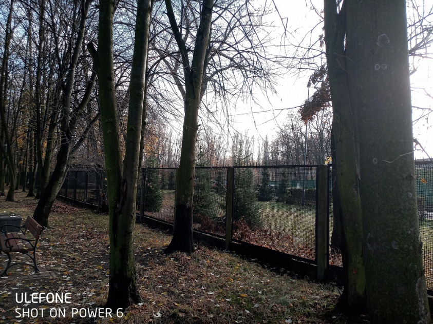 IMG 20191111 124831 0