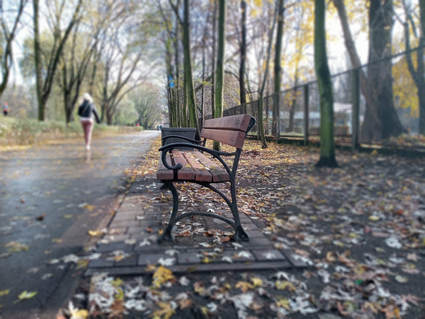 IMG 20191111 124917 6