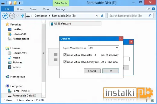 Okladka USB Safeguard