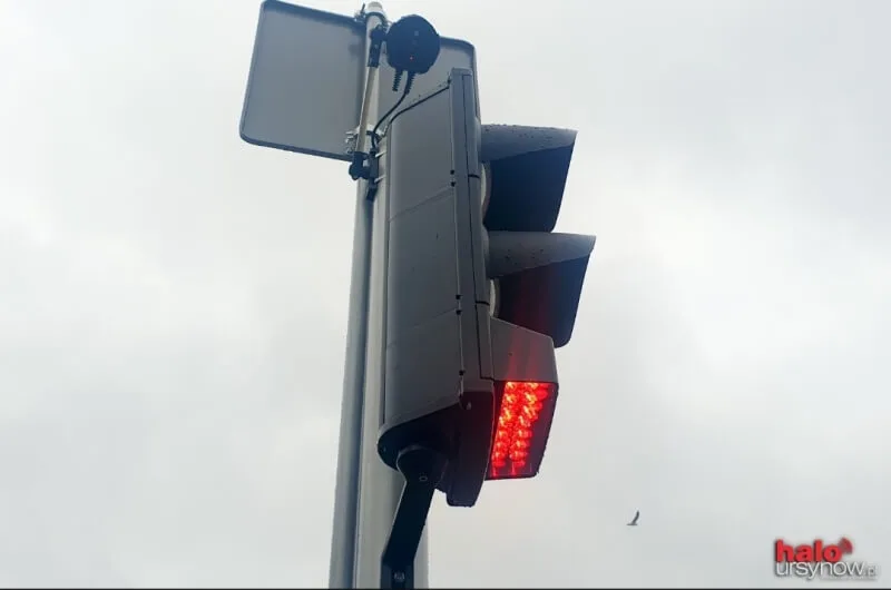 Światła Smartfonowe Zombie