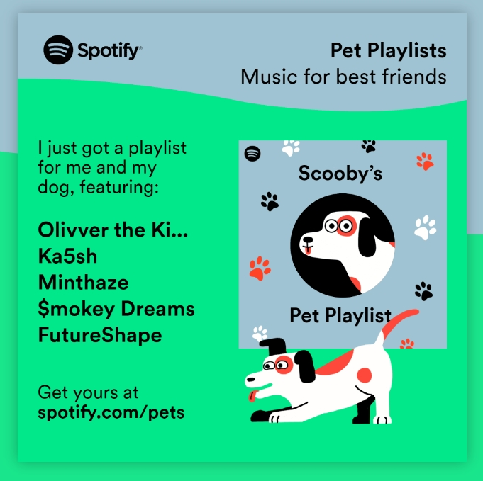spotify pupil 2