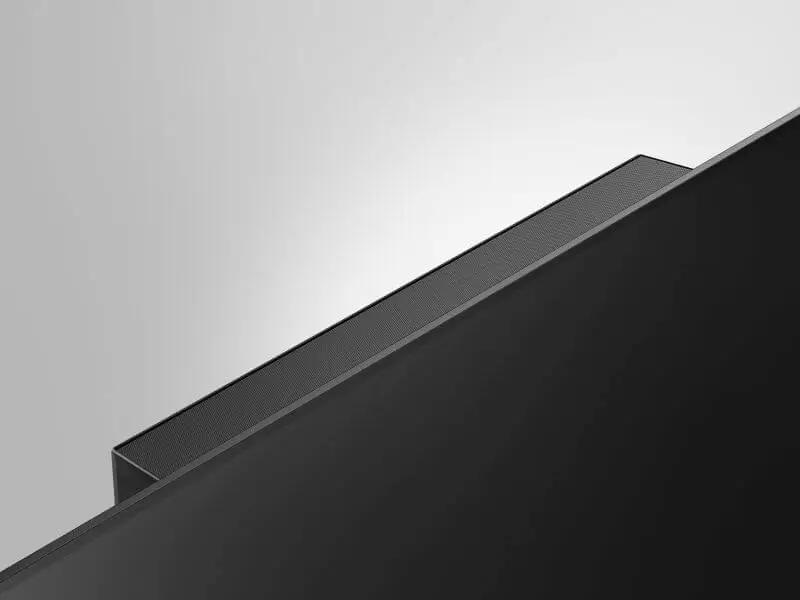 OLED Panasonic GZ 2000