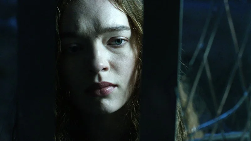 wiedzmin netflix obsada 2