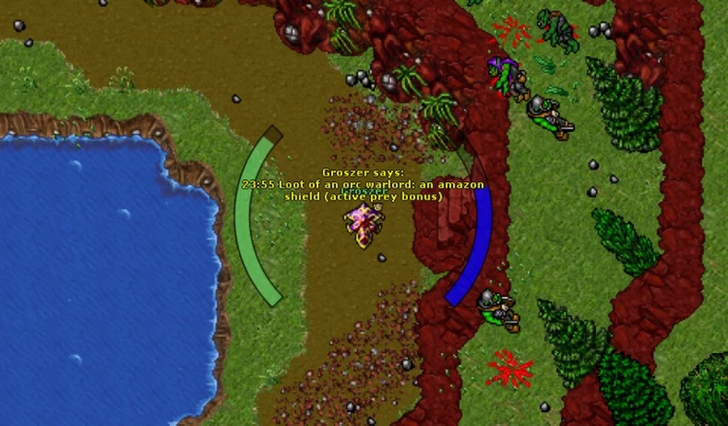 Tibia tarcza amazon shield groszer