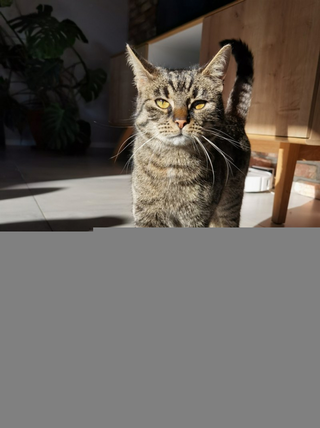 IMG 20200401 171831 mini