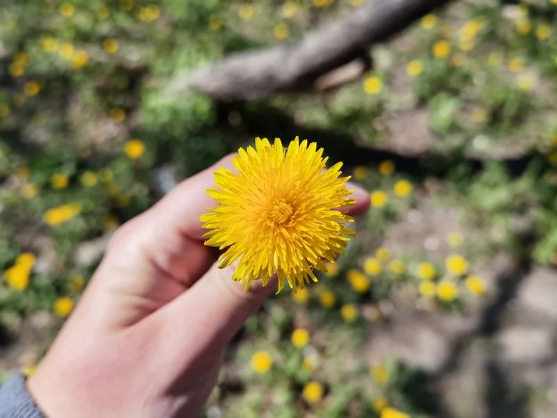 IMG 20200420 125628 mini