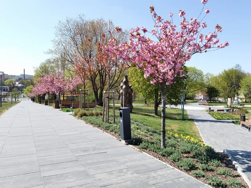 IMG 20200420 131252 mini