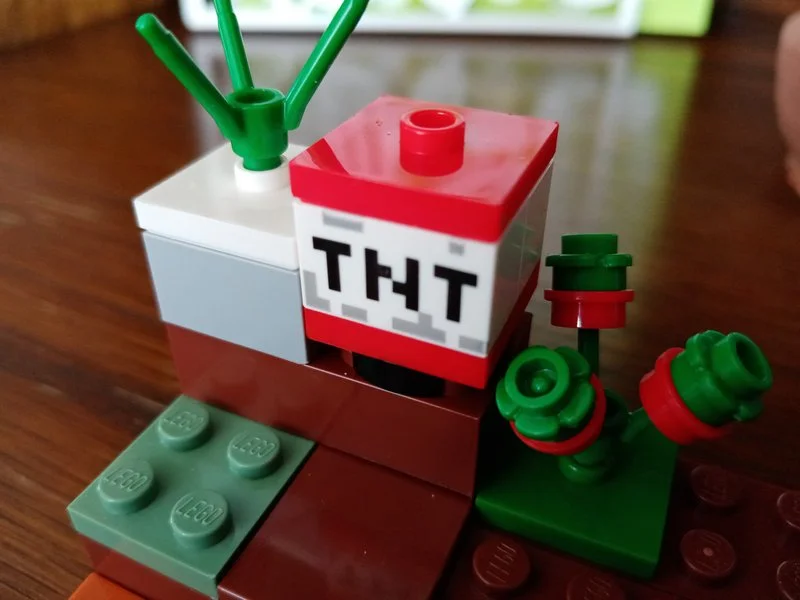 IMG 20200508 152125 mini